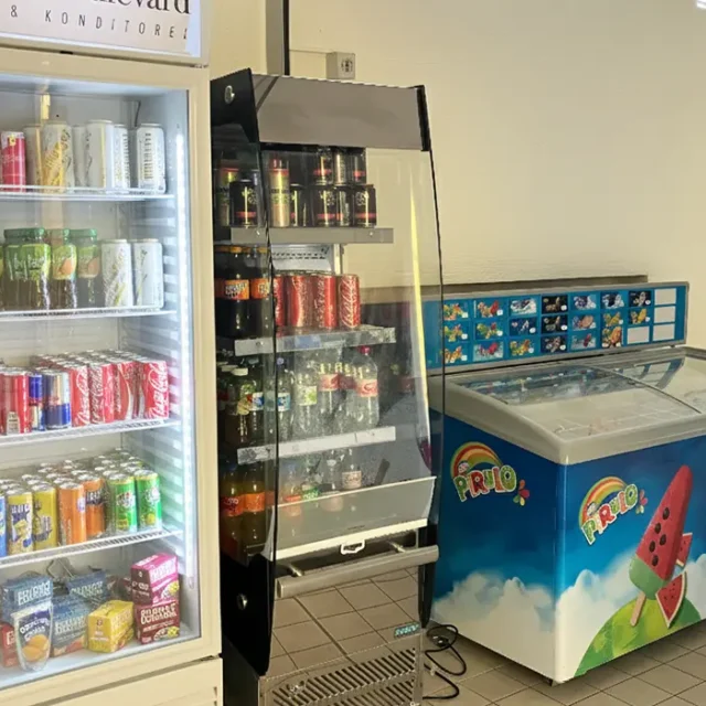 Verschiedene Kühlschränke und Truhen für Getränke und Eis